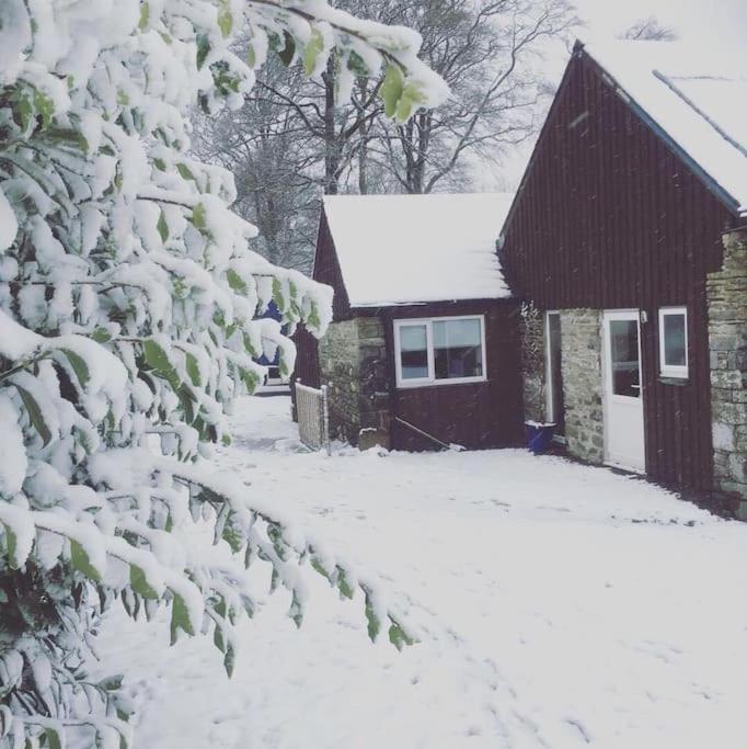 Vila Y Boidy Bach Llangranog Exteriér fotografie