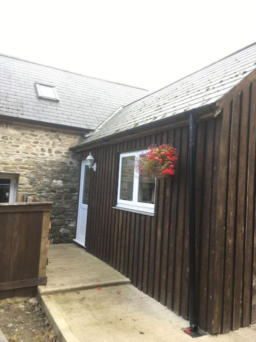 Vila Y Boidy Bach Llangranog Exteriér fotografie